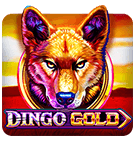 rummy winner 41 bonus download
